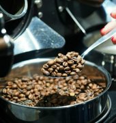 Advanced basic knowledge of roasting coffee beans for novice