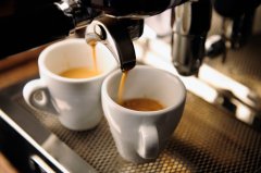 Evaluate the standard of espresso and the skills of making espresso