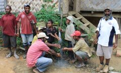 Organic and Shade planting-- the ambition of small Coffee Farmers' Cooperative in Papua New Guinea