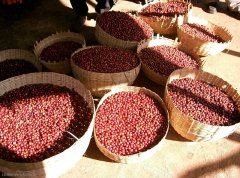 Ethiopia Sunny Ye Jia Xue Fei G1 Kocher Town Corey Processing Plant Coffee Flavor Description