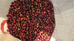 Description of the flavor, flavor and aroma of Guatemala Raminita flower god round bean washed coffee