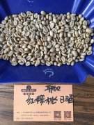 Thoughts on the Design of roasting Curve of Yejiaxefi Coffee Bean