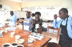 The coffee that impresses you, the bidding batch of Congo coffee with super personality
