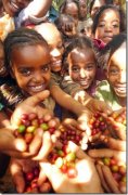 Kenya AA coffee beans, Fairtrade beans without FTO certification