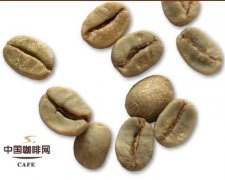 Treatment of raw coffee beans: the difference between half-sun and half-water washing