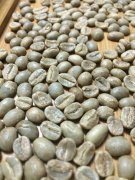 Tanzania AA Tanzania AA boutique coffee beans