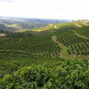 Interpretation of the flavor characteristics of individual coffee beans from all over the world