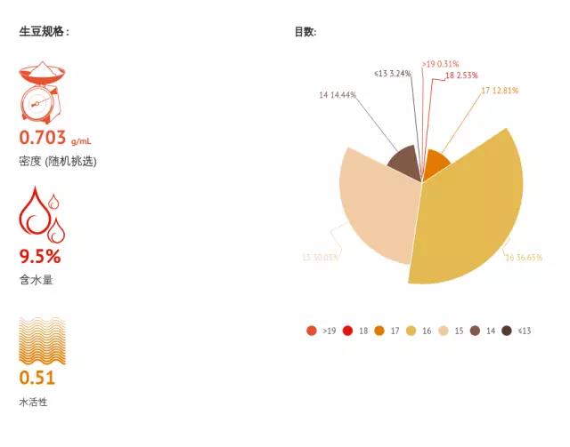 Raw bean file | Analysis of washing and baking of Chichu in Sidamo, Ethiopia