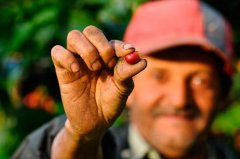 Introduction to the description of taste and flavor of African Tanzanian coffee washing method