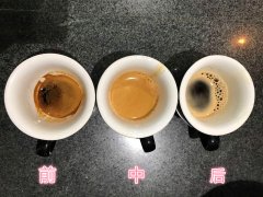 Coffee from color to aroma in-depth understanding of the essence of espresso