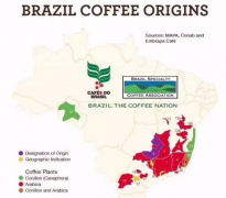 Wikipedia Brazil introduces Brazilian Coffee characteristics of Brazilian Coffee