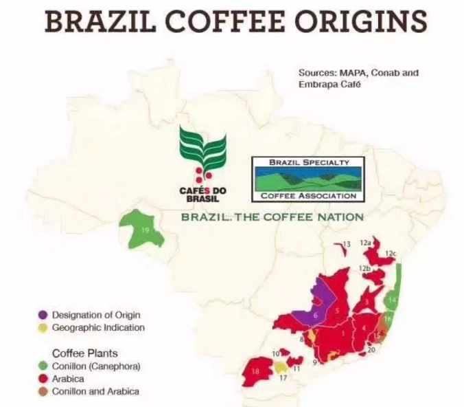 Brazilian Coffee Coffee from Hillado, Brazil, Mojiana, Brazil, Santos, Brazil