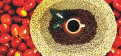 Rolls-Royce in Coffee-introduction of production and Marketing characteristics and Origin Information of Coffee in Taiwan
