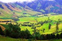 Colombian coffee with beautiful cuisine also made a trip to find coffee in Colombia.