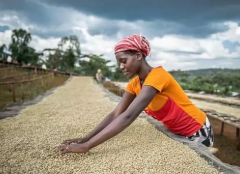 Name and introduction of Ethiopian Coffee Starbucks, Ethiopian Coffee Cooperative