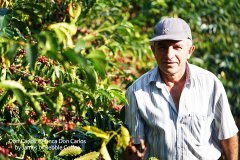 Faye Butterfly Manor, Santa Cruz, Bolivia-Bolivian coffee from the roof of the world