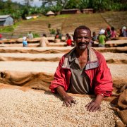 Fofat Bene-Feijia treatment Plant in Cochele production area introduces the washing Cochele Kochere Coffee