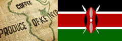 Kenya raw bean wholesale Kenya AA wholesale price Kenya grade fine coffee raw bean