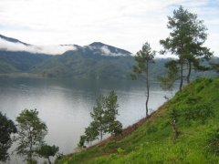 Classic Asian Coffee: an introduction to the Information and Flavor of the Origin of Lindong Manning in Sumatra, Indonesia