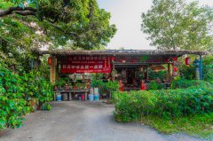 Characteristics of Organic Coffee in Kaohsiung Red Bean Manor in Taiwan