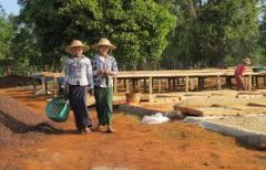 Myanmar Chevatron Coffee introduces the purpose of cooperation between Chevatra Coffee and Danu