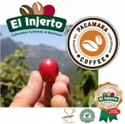 Century Coffee Manor of 6-time COE Champion El Injerto Estate Incht Manor, Guatemala