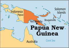 Introduction to the development of organic smallholder coffee in Papua New Guinea what is organic cultivation?