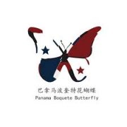 Introduction to Boquete70% Geisha Geisha Panamanian Flower Butterfly from Pokuit, Panama