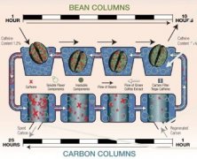 Columbia supremo Swiss Water treatment process and principle of low-caffeine Coffee