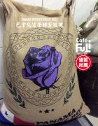 Pokuit, Panama Boquete Purple Rose Violet Rose 40% Rosa 40% Geisha