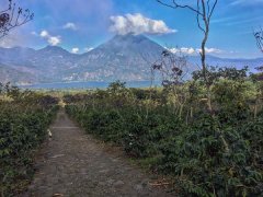 Introduction to Las Pastores processing Plant of La Minita Manor Raminita-Huashen Coffee in Guatemala