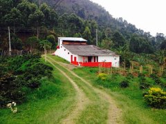 Introduction to the Flavor of El Jardin Farm Coffee grown in Columbia Garden Farm