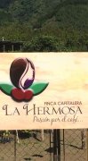 Guatemala Coffee Manor-Acatenango production area first planted Coffee Merrill Manor La Hermos