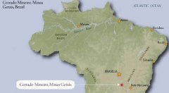 Analysis of the current situation of Brazilian Coffee in 2017 introduction to Saquarema Farm in South Minas, Brazil