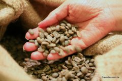 2017 the most popular Colombian coffee-Finka. Coffee beans fermented in oak barrels of San Jose Manor at low temperature