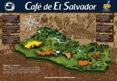 How about Salvadoran Himalayan Coffee A brief History of Salvadoran Coffee and Coffee Archives