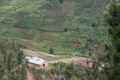 Rwanda Coffee, Rwanda Coffee producing area Muhura Water washing Plant Muhura Sun Red bourbon