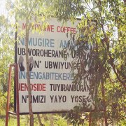 Rwanda Coffee Champion Manor Mu Yongwei Washing Factory Muyongwe