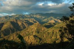 Introduction of 2017 Honduran Coffee New Honduran Coffee producing area Intibuka Intibuca