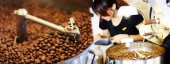How would you like your golden manning coffee? Characteristics of hand-selected Gold Manning Coffee harvested four times by hand