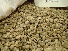 Costa Rica West Valley San Rafael Saint Raphael Microprocessing Field (honey processed beans) Introduction