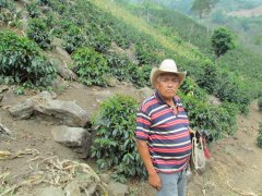 Honduran coffee has an amazing taste and output. Honduran coffee is round and complex.