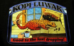 The most expensive coffee in the world: the production process of Indonesian Kopi Luwak