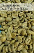 Unknown Coffee Origin Ecuador explores the traditional Ecuadorian Coffee Variety Iron pickup