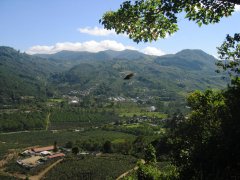 The best Costa Rican coffee comes from Costa Rican coffee Tarrazu, which is produced in Tarazhu.