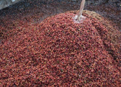 Rwanda Coffee-an introduction to the new coffee lovers' cooperative in recent years