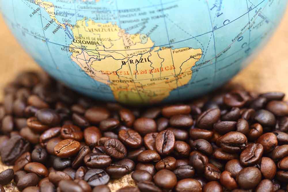 The Source of Mamba Coffee Mambo the prosperity of coffee beans-Sponsored in Sao Paulo, Brazil