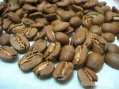 The origin of Salvadoran coffee is an important factor in the high quality of Salvadoran coffee.