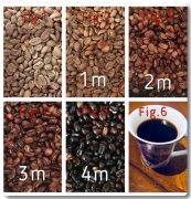 Start a trip to roast coffee beans from the microwave oven how to bake coffee beans in the microwave oven?
