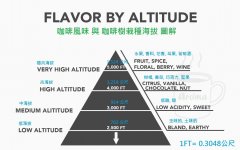 Illustrating the effect of coffee tree planting altitude on coffee flavor why high-quality coffee beans are at high altitude